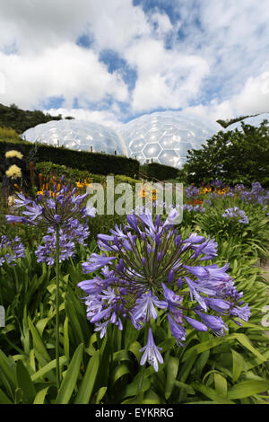 Outdoor Garten, Eden Project, St Austell, Cornwall, Vereinigtes Königreich Stockfoto