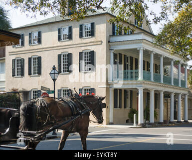 Pferdekutsche nähert sich das Branford-Horry-Haus (1850) auf der Meeting Street an der Ecke des Tradd St in Charleston, SC, USA Stockfoto