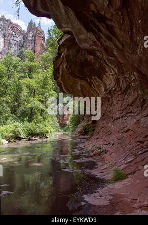 Der West Fork des Oak Creek Trail. Stockfoto