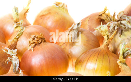 Zwiebel Stockfoto