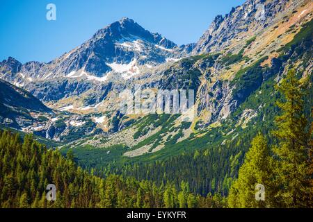 Hohe Tatra in der Slowakei. Malerische Aussicht auf die Tatra-Gebirge in der Sommerzeit. Stockfoto