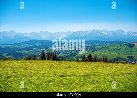 Tatry-Panorama. Panorama der hohen Tatra und Podhale weniger Polen Vysočina. Polen im Sommer, Europa. Stockfoto