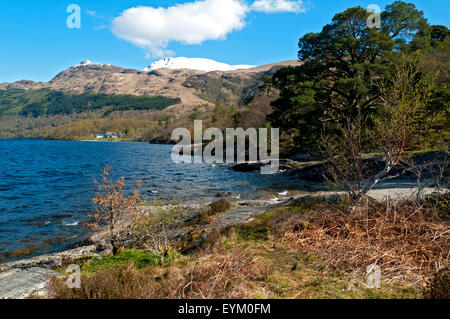 Schneebedeckte Ben Lomond aus dem östlichen Ufer von Loch Lomond in Rowardennan, Stirlingshire, Schottland, Vereinigtes Königreich Stockfoto