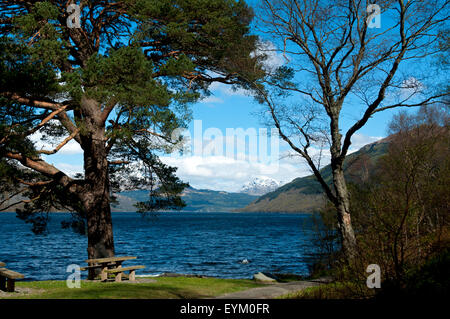 Ben Vorlich vom östlichen Ufer von Loch Lomond bei Rowardennan, Stirlingshire, Schottland, UK Stockfoto