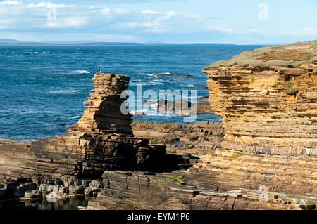 Tower o'Men o'Mey Sea Stack in St. John's Point, an der Nordküste von Caithness, Schottland, Großbritannien. Stockfoto