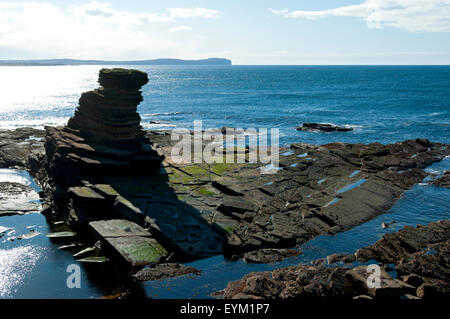 Tower o'Men o'Mey Sea Stack in St. John's Point, an der Nordküste von Caithness, Schottland, Großbritannien. Dunnet Kopf zurück. Stockfoto