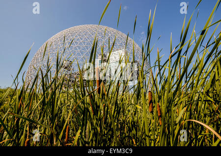 Biopshäre in Montreal Stockfoto
