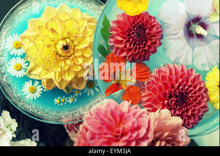 Tischdekoration, farbige Blüten und Wasserschale, Stockfoto