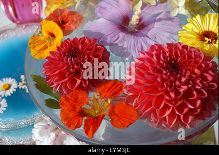 Tischdekoration, farbige Blüten und Wasserschale, Stockfoto