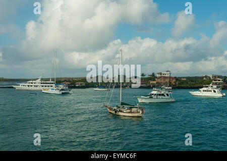 Kreuzfahrt Boote, Puerto Ayora, Santa Cruz Island, Galapagos-Inseln, Ecuador Stockfoto