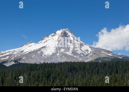 Die kargen Top Mount Hood in Oregon, die zum Teil noch mit Schnee bedeckt, im Sommer mit einem dichten grünen Wald unten. Stockfoto