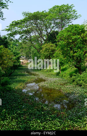 Flusslandschaft in Munshiganji, Bangladesch, Asien Stockfoto
