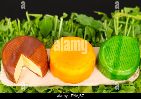 Sehr schöne zarte Präsentation von drei gewürzte Käsesorten verpackt in braun. gelb und grün platziert auf Holzoberfläche mit Pflanzen Hintergrund Stockfoto