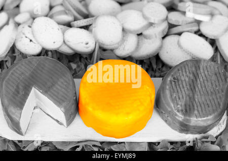 Schwarz / weiß Foto drei Käsesorten auf Holzbrett, Käse in der Mitte platziert hat eine starke gelbe Farbe Stockfoto