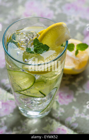 Erfrischende Sommer-Cocktails - Gin Tonic mit Gurke Stockfoto