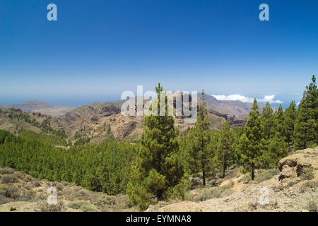 Im Landesinneren Gran Canaria Süd aus der Umgebung von Roque Nublo anzeigen Stockfoto