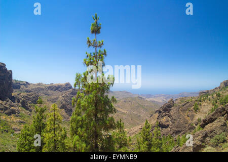 Im Landesinneren zentrale Gran Canaria, Blick Richtung Ayacata Stockfoto