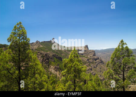 Im Landesinneren zentrale Gran Canaria, Caldera de Tejeda, kanarische Kiefern und Roque Nublo Stockfoto