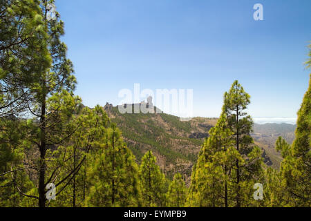 Im Landesinneren zentrale Gran Canaria, Caldera de Tejeda, kanarische Kiefern und Roque Nublo Stockfoto