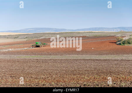 Traktor im Bereich Stockfoto