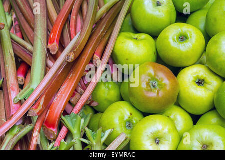 Rhabarber und Äpfel für den Verkauf auf einem Markt Stockfoto