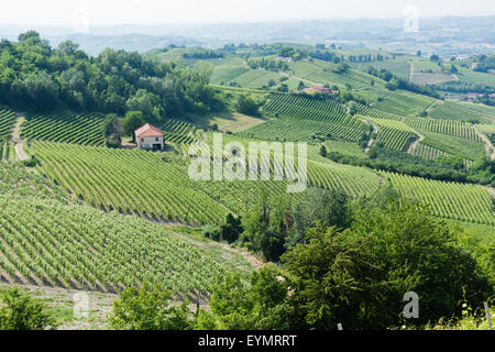 Monferrato, Piemont, Italien, Panorama über die Weinberge des Piemonts: Langhe Roero und Monferrato in die Liste des Weltkulturerbes der UNESCO Stockfoto