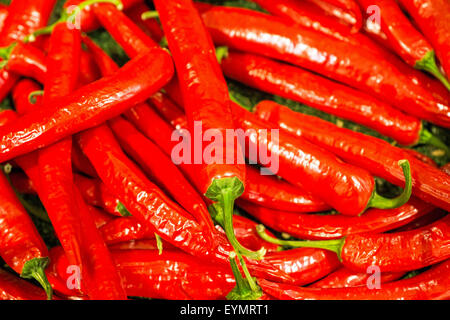 Dem Hintergrund der vielen heiße rote Paprika Stockfoto