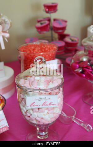 Marshmallows auf Süßigkeiten-Buffet-Tisch auf einer party Stockfoto