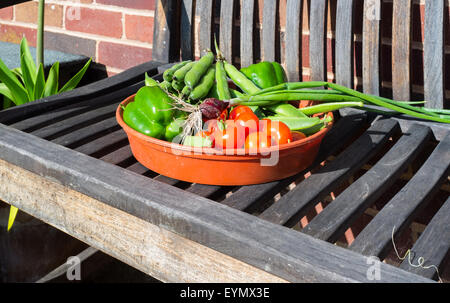 Eine Schüssel voll von frisch geerntetem Obst und Gemüse auf einer Gartenbank. Stockfoto