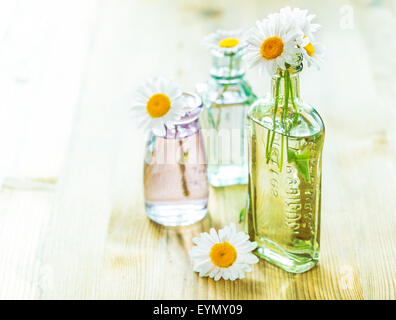 Bouquet von Kamillen in ein kleines Glasvasen auf hölzernen Hintergrund Stockfoto