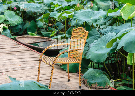 Bar-Garten in der Nähe von West-See in Hanoi, Vietnam am 25. Juli 2015 Stockfoto
