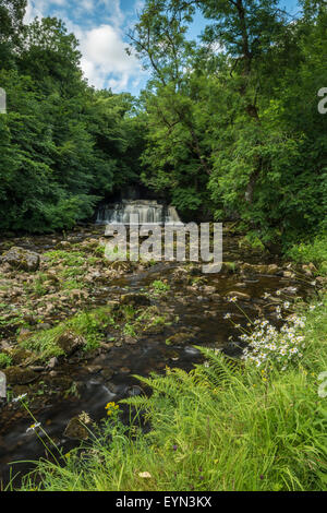 Ein Bild des Cotter Kraft, ein Wasserfall in Wensleydale, North Yorkshire. Stockfoto