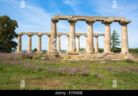 Pfälzer Tabellen, Hera-Heiligtum in Metaponto, Basilikata, Italien Stockfoto