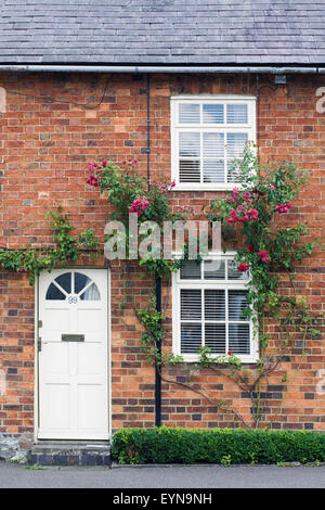 Aus rotem Backstein Reihenhaus Ferienhaus mit Rosen um die Tür. Stockfoto