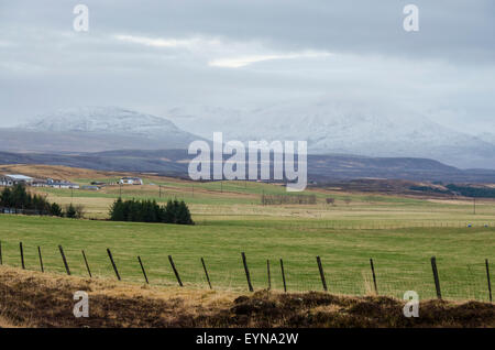 Isländische Felder um Thingvellir National Park mit Schnee bedeckt Berge im Hintergrund Stockfoto