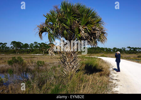 Frau mit dem Fotografieren auf Merritt Island National Wildlife Refuge, Titusville, Florida Stockfoto