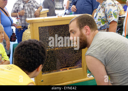 Honigbienen Stockfoto