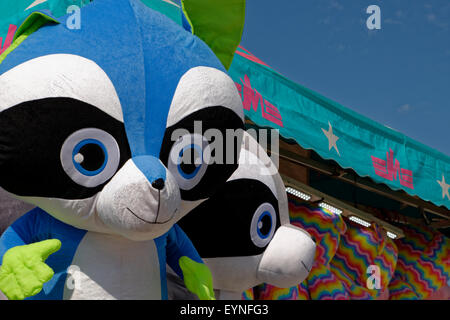 Gigantischer Waschbär-Plüschspielzeugpreis auf der Delaware State Fair in Harrington, DE. Stockfoto