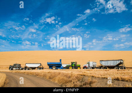 Weizen wird in einem LKW geladen, der auf dem Marktplatz in Sindh Pakistan  geparkt ist Stockfotografie - Alamy
