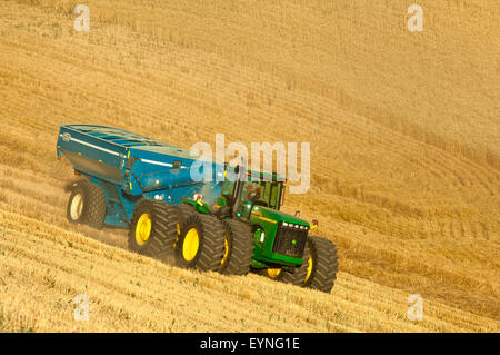 Schlepper ziehen einen Korn-Karren durchquert ein Weizenfeld während der Ernte in der Palouse Region Washington Stockfoto