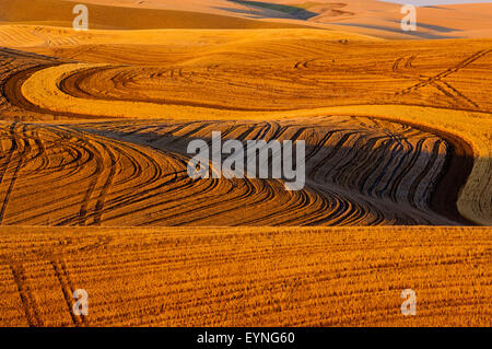 Bereich der Stoppeln aus geernteten Getreide in den Hügeln von Palouse Region von Washington Stockfoto