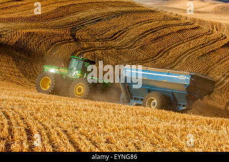 Traktor pulling Getreide Wagen durchquert die Hügel der Palouse Region in Washington bei der Ernte Stockfoto