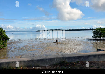 Mann graben Muscheln, Inhambane Bucht Stockfoto