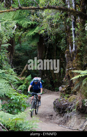 Radfahren auf den Spuren von Holz, Pureora Forest Park, in der Nähe von Taupo, Nordinsel, Neuseeland Stockfoto