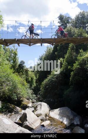 Radfahren über Brücke auf dem Holz-Trail, Pureora Forest Park, in der Nähe von Taupo, Nordinsel, Neuseeland Stockfoto