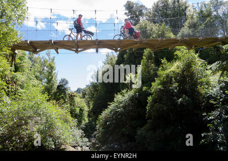 Radfahren über Brücke auf dem Holz-Trail, Pureora Forest Park, in der Nähe von Taupo, Nordinsel, Neuseeland Stockfoto