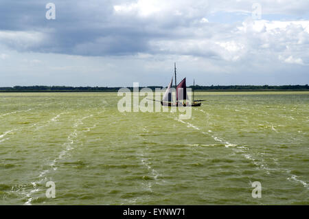 Zeesboot, Saaler Bodden, Basel-Landschaft Stockfoto
