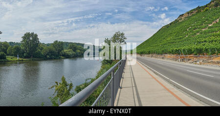 Straße zwischen Neckar und Weinberge an den hängen. Besondere Art und Weise der Radfahrer in der Mitte Stockfoto