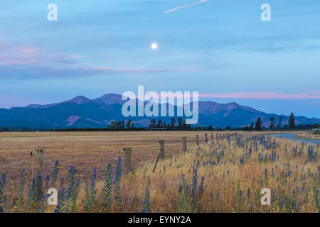 Goldener Sonnenuntergang über Canterbury Hügel und Ackerland, Südinsel, Neuseeland Stockfoto