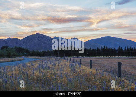 Herrlichen Sonnenuntergang über Canterbury Hügel und Ackerland, Südinsel, Neuseeland Stockfoto